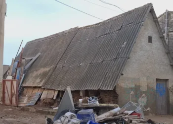SOS Barraca de la Xupa o del carrer Guadalquivir 39