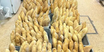 Panaderos y pasteleros valencianos: un frente solidario tras la DANA