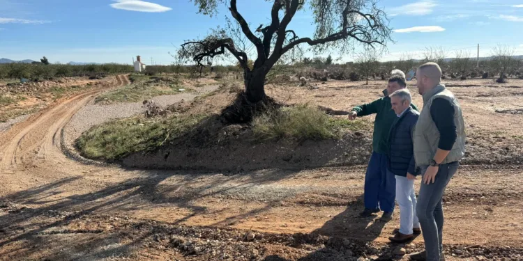 Agricultura destina 4,1 millones para reparar caminos rurales de la comarca Utiel-Requena afectados por la riada 1 Agricultura destina 4,1 millones para reparar caminos rurales de la comarca Utiel-Requena afectados por la riada