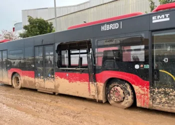 Protección Civil organiza transporte de voluntarios hacia las zonas afectadas por la DANA y recuerda las recomendaciones de seguridad 4 Protección Civil organiza transporte de voluntarios hacia las zonas afectadas por la DANA y recuerda las recomendaciones de seguridad
