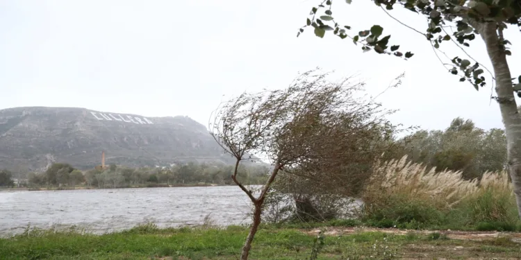 Cullera crea una plaza de técnico de emergencias en la plantilla del 2025 1 Cullera crea una plaza de técnico de emergencias en la plantilla del 2025