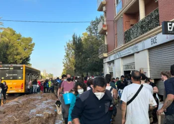 El Ayuntamiento cubrirá los informes periciales para ayudar a los afectados por la DANA sin seguro a acreditar sus pérdidas 2 El Ayuntamiento cubrirá los informes periciales para ayudar a los afectados por la DANA sin seguro a acreditar sus pérdidas