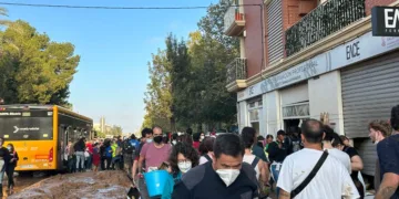 Alertan sobre dos casos probables de leptospirosis en voluntarios que asistieron a zonas afectadas por la DANA