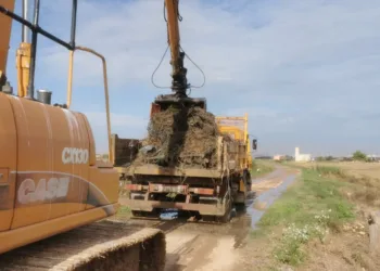 La Generalitat inicia la segunda fase del plan de choque para reducir en L’Albufera los efectos de la riada 9 La Generalitat inicia la segunda fase del plan de choque para reducir en L’Albufera los efectos provocados por las recientes inundaciones