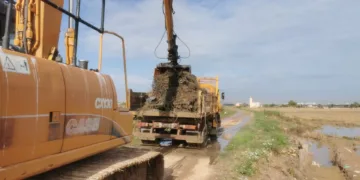 La Generalitat inicia la segunda fase del plan de choque para reducir en L’Albufera los efectos provocados por las recientes inundaciones