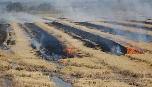 Suspenden las quemas agrícolas y forestales en Valencia por labores de búsqueda tras la DANA