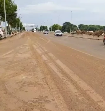 El Ministerio de Transportes abre la Pista de Silla y la V30 y comienza a reparar las vías del AVE 1 El Ministerio de Transportes abre la Pista de Silla y la V30 y comienza a reparar las vías del AVE