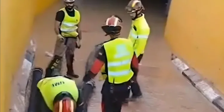 El aparcamiento de Bonaire: un “cementerio sumergido” tras la DANA que devastó Valencia 1 El aparcamiento de Bonaire: un “cementerio sumergido” tras la DANA que devastó Valencia