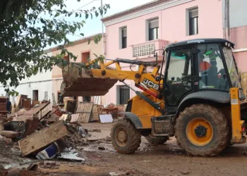 La DANA en Valencia: los afectados claman por ayuda específica mientras los voluntarios y agricultores lideran la recuperación