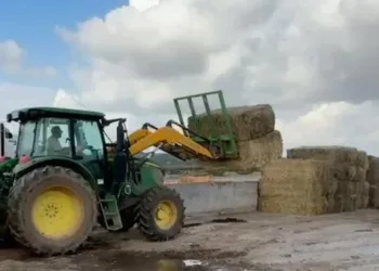 Agricultura gestiona el reparto de alimento y agua a explotaciones ganaderas con problemas de acceso a consecuencia de la DANA