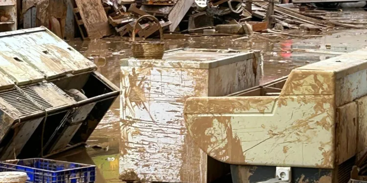 La Generalitat Valenciana eleva la cifra provisional de muertos a 202 personas por la DANA 1 La Generalitat Valenciana eleva la cifra provisional de muertos a 202 personas por la DANA