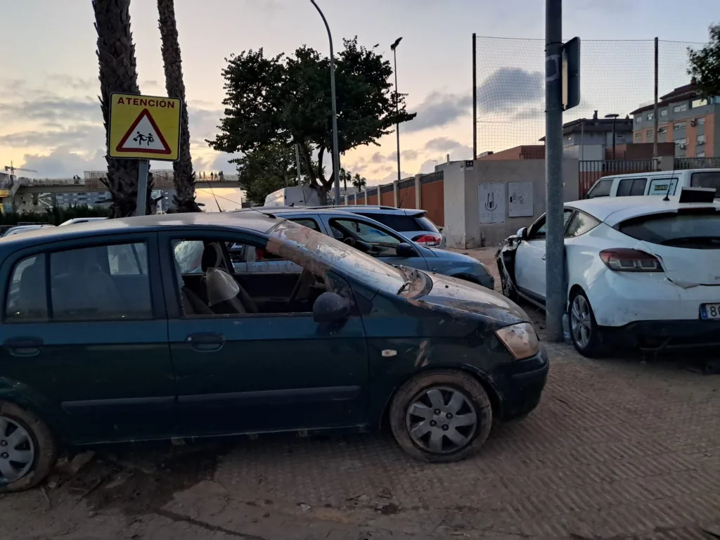 WhatsApp Image 2024 11 02 at 19.10.49