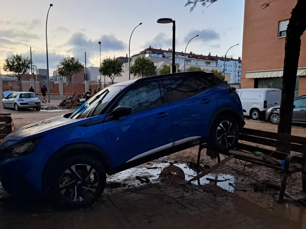 WhatsApp Image 2024 11 02 at 19.10.491