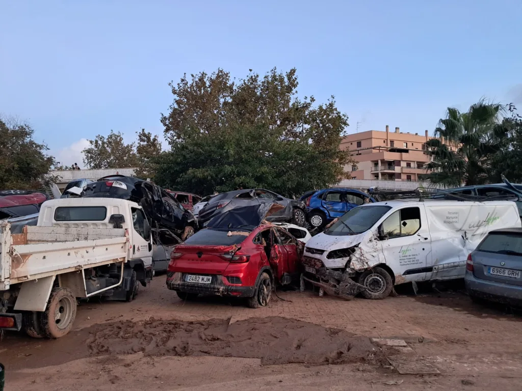 WhatsApp Image 2024 11 02 at 19.10.492