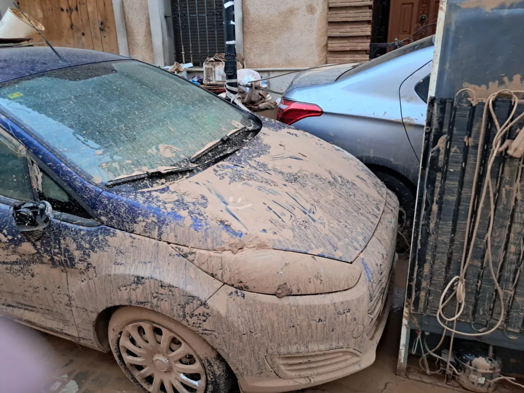 WhatsApp Image 2024 11 02 at 19.10.532