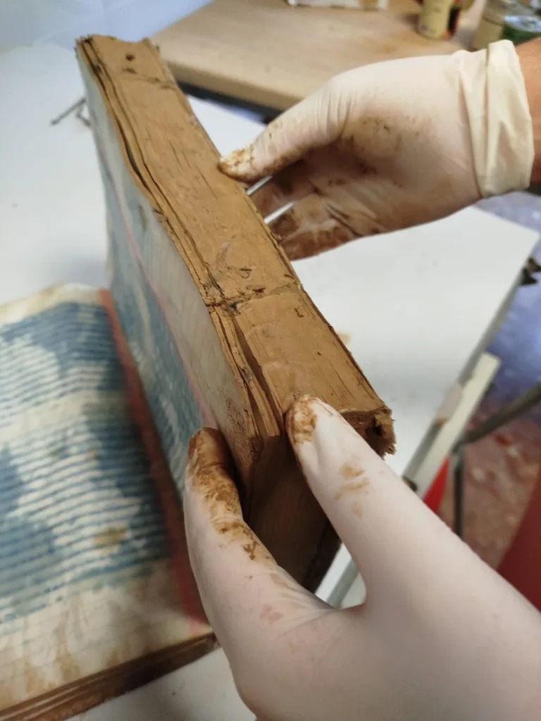 SOS Valencia necesita ayuda urgente para salvar su patrimonio