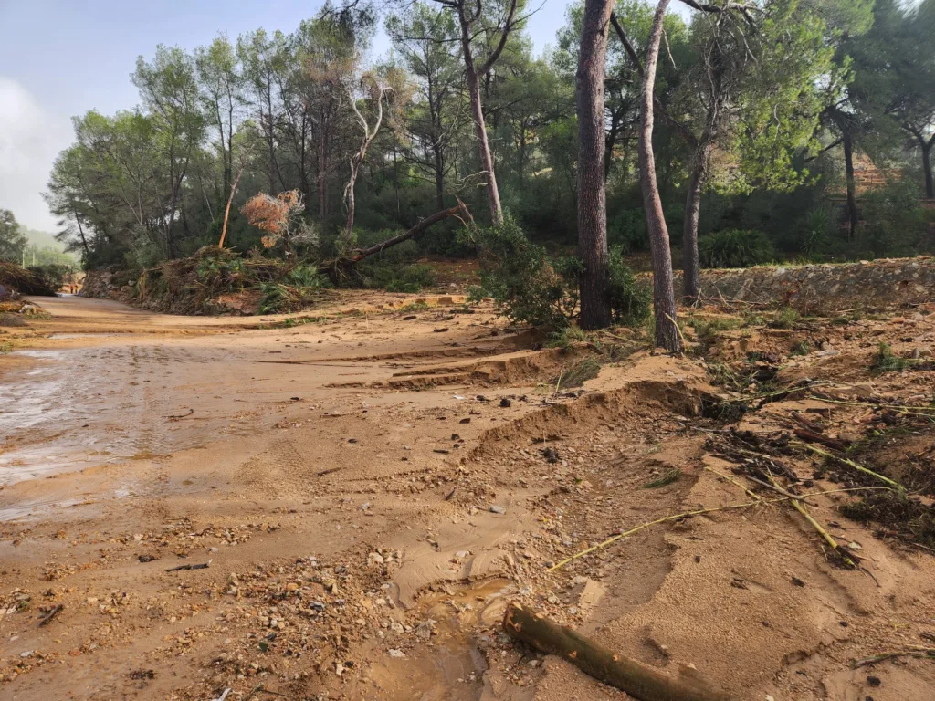 Los vecinos de Cumbres de Calicanto denuncian que 15 días después siguen sin agua y con infraestructuras destrozadas 3 WhatsApp Image 2024 11 14 at 14.30.553