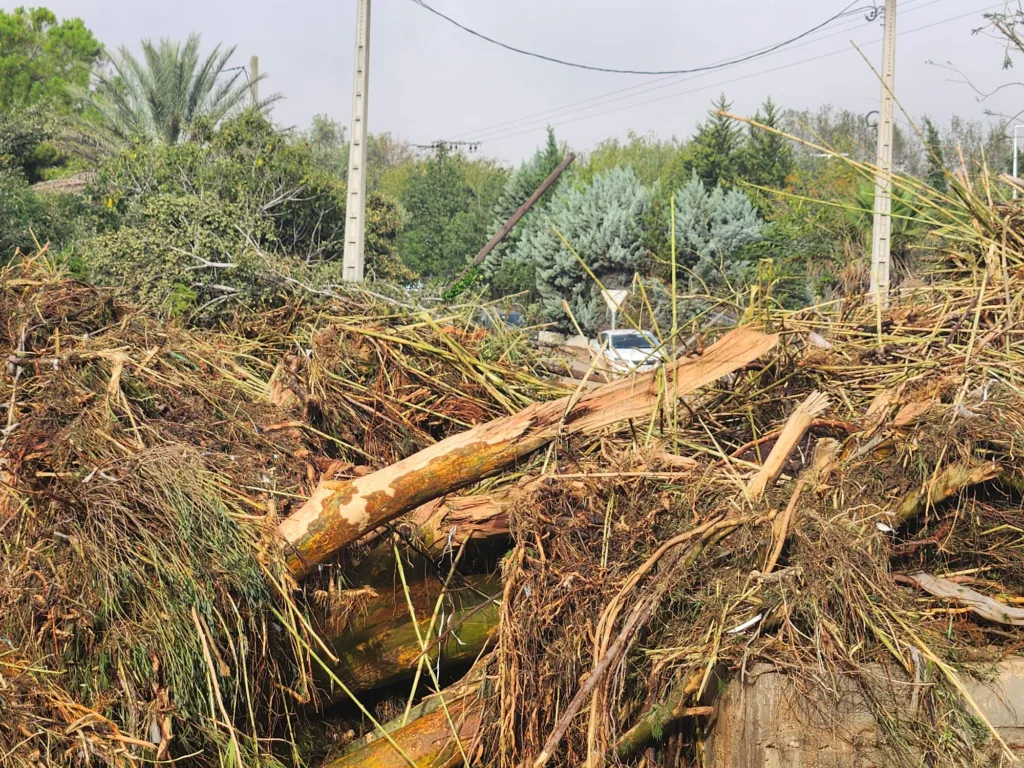 Los vecinos de Cumbres de Calicanto denuncian que 15 días después siguen sin agua y con infraestructuras destrozadas 5 WhatsApp Image 2024 11 14 at 14.30.555