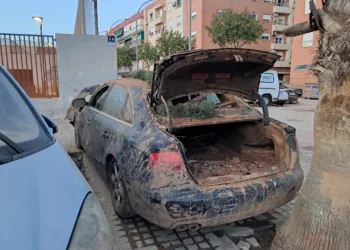 Compromís propone eliminar el IVA de los coches que se compren en sustitución de los afectados por la DANA 7 Compromís propone eliminar el IVA de los coches que se compren en sustitución de los afectados por la DANA