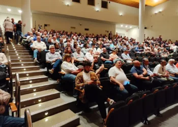 Catalá exime a las fallas del uso del registrador sonoro durante las Fallas