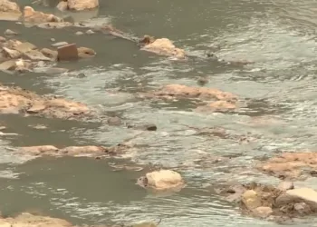 Y ahora olor insoportable en Paiporta por aguas fecales en el barranco del Poyo