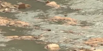 Y ahora olor insoportable en Paiporta por aguas fecales en el barranco del Poyo
