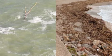 Transportes restringe la navegación en la zona sur de Valencia entre el Puerto de Valencia y Cullera