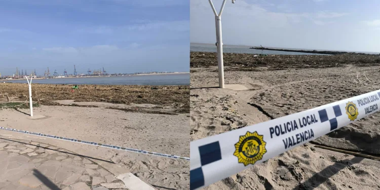 Valencia cierra las playas del Sur para facilitar la búsqueda y la limpieza y se busca en L'Albufera desaparecidos 1 Valencia remite al Estado la factura de 917.000€ de la limpieza de las playas del sur de la Ciudad tras el paso de la #DANA