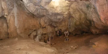 El MARQ cierra este fin de semana la temporada de la Cova de l’Or de Beniarrés, que volverá a abrir en marzo