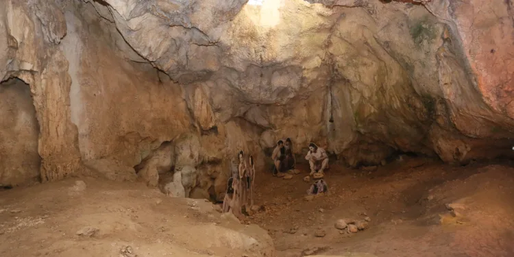 El MARQ cierra este fin de semana la temporada de la Cova de l’Or de Beniarrés, que volverá a abrir en marzo 1 El MARQ cierra este fin de semana la temporada de la Cova de l’Or de Beniarrés, que volverá a abrir en marzo