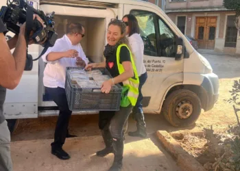 Castellón envía 500 raciones de arroz a banda a los afectados por la DANA 3 Castellón envía 500 raciones de arroz a banda a los afectados por la DANA