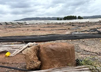 AVA-ASAJA denuncia que las ayudas directas de la DANA dejarán fuera más del 80% de los agricultores
