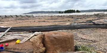 AVA-ASAJA denuncia que las ayudas directas de la DANA dejarán fuera más del 80% de los agricultores