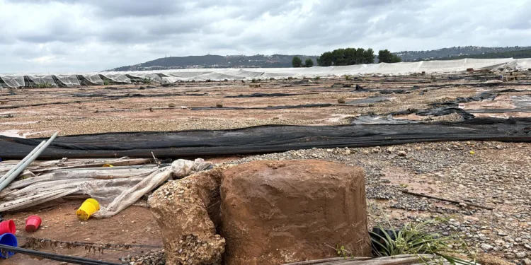 AVA-ASAJA denuncia que las ayudas directas de la DANA dejarán fuera más del 80% de los agricultores