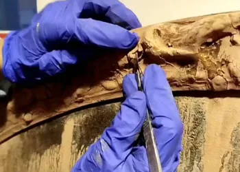 SOS Valencia necesita ayuda urgente para salvar su patrimonio