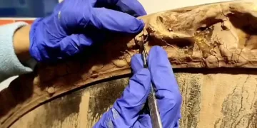 SOS Valencia necesita ayuda urgente para salvar su patrimonio