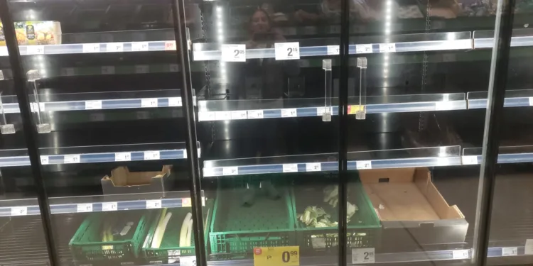 Desabastecimiento en supermercados de Valencia: los estragos de la última DANA aún afectan a la cadena de suministro 1 Desabastecimiento en supermercados de Valencia: los estragos de la última DANA aún afectan a la cadena de suministro