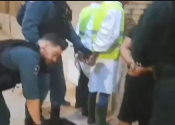 Vídeo Albal: dos personas disfrazadas de voluntarios de la DANA llevaban una bolsa llena de marihuana