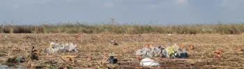 El lago de l'Albufera necesitará al menos 10 millones para su recuperación