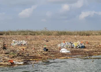 El lago de l'Albufera necesitará al menos 10 millones para su recuperación