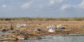 El lago de l'Albufera necesitará al menos 10 millones para su recuperación