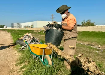 La Generalitat instalará un sistema digital para monitorizar en tiempo real el estado de L’Albufera 5 La Generalitat instalará un sistema digital para monitorizar en tiempo real el estado de L’Albufera ante futuros episodios meteorológicos adversos