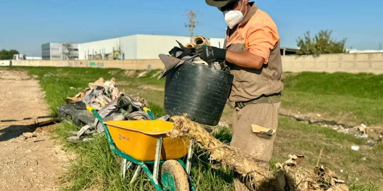 La Generalitat instalará un sistema digital para monitorizar en tiempo real el estado de L’Albufera ante futuros episodios meteorológicos adversos