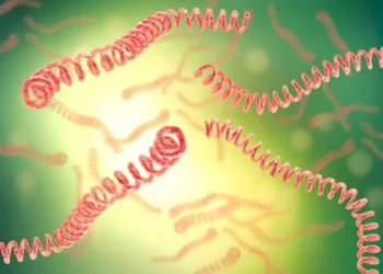 Sanidad informa sobre recomendaciones de protección para la población frente a la leptospirosis