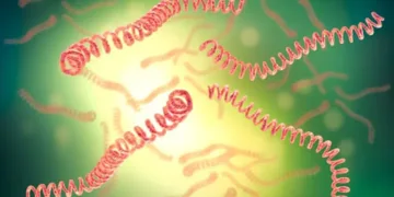 Sanidad informa sobre recomendaciones de protección para la población frente a la leptospirosis