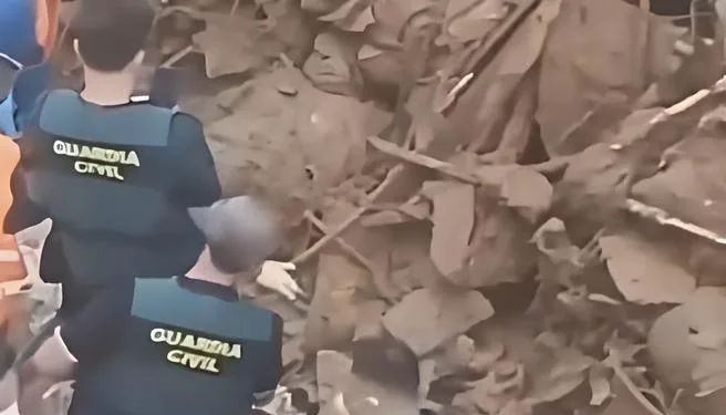 Equipos forenses comienzan a retirarse de Valencia por dificultades para encontrar nuevas víctimas tras la DANA 1 Equipos forenses comienzan a retirarse de Valencia por dificultades para encontrar nuevas víctimas tras la DANA