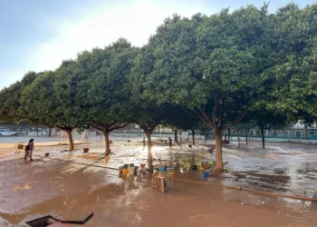 Educación comunica la reubicación del alumnado afectado por la DANA y amplía modalidad a petición de familias y centros 1 Educación comunica la reubicación del alumnado afectado por la DANA y amplía la modalidad de acogimiento a petición de familias y centros