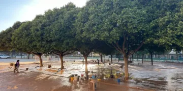 Educación comunica la reubicación del alumnado afectado por la DANA y amplía la modalidad de acogimiento a petición de familias y centros