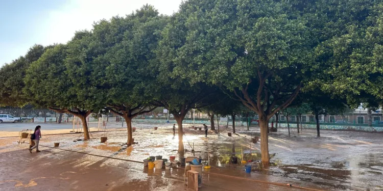 Educación comunica la reubicación del alumnado afectado por la DANA y amplía modalidad a petición de familias y centros 1 Educación comunica la reubicación del alumnado afectado por la DANA y amplía la modalidad de acogimiento a petición de familias y centros