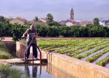 El Ajuntament de Valencia adjudica la limpieza de acequias de "francs, marjals i extremals"